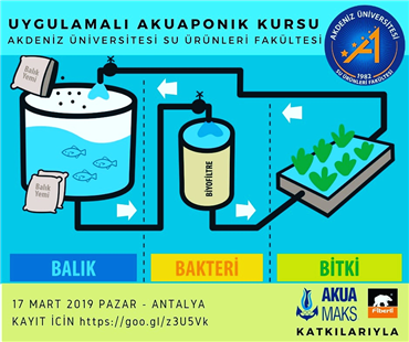 Aquaponic Systems