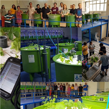 Basic Aquaponics Training