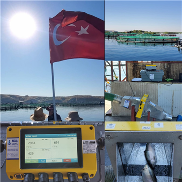 VAKI PIPELINE COUNTER TURKISH SALMON COUNTING